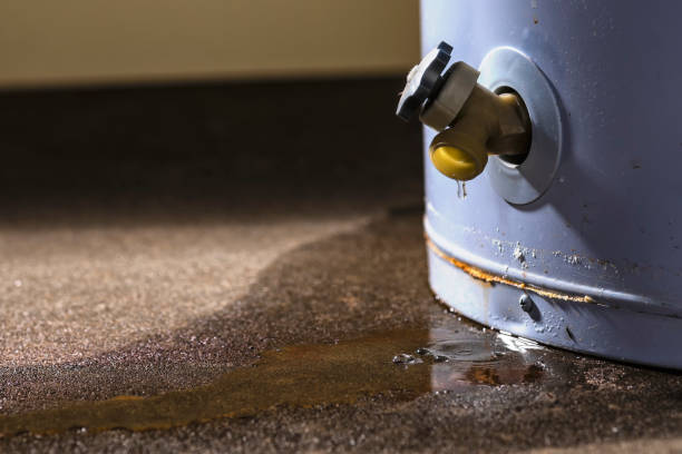 Best Mold removal after water damage  in Simi Valley, CA