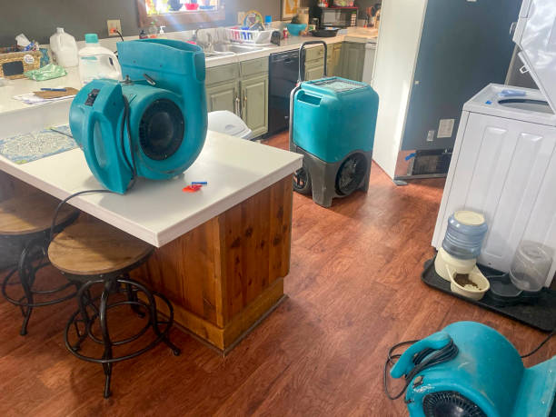 Best Basement water damage restoration  in Simi Valley, CA
