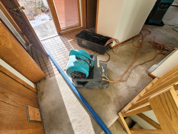 Best Water damage restoration near me  in Simi Valley, CA