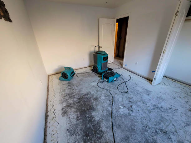 Best Water damage contractors near me  in Simi Valley, CA