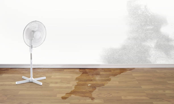 Best Fire Damage Restoration  in Simi Valley, CA