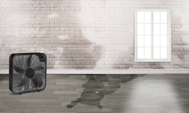 Best Ceiling water damage repair  in Simi Valley, CA
