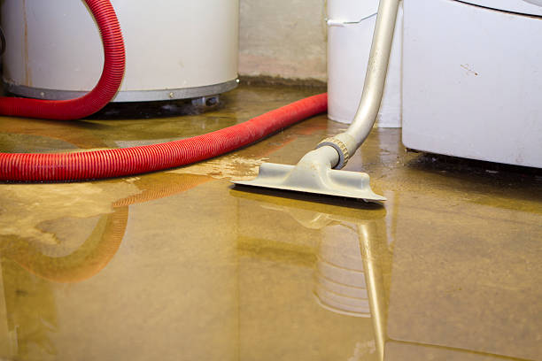 Best Local water damage restoration  in Simi Valley, CA