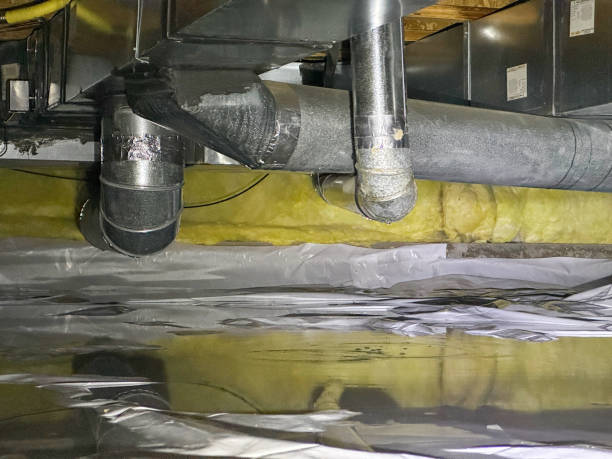 Best Professional water damage repair  in Simi Valley, CA