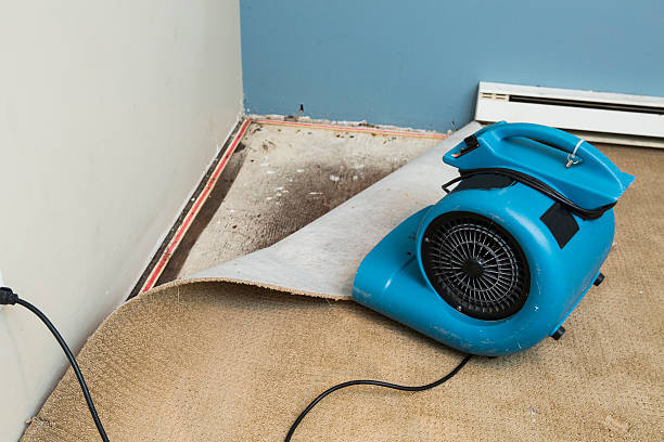 Best Sewage cleanup and water damage restoration  in Simi Valley, CA